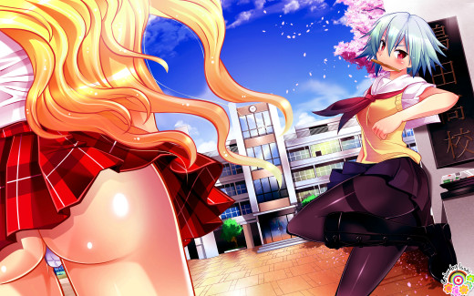 263345 (a): :2560x1600